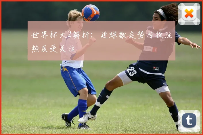 世界杯大2解析：进球数走势与投注热度受关注