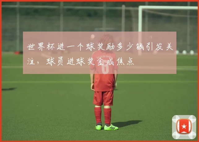 世界杯进一个球奖励多少钱引发关注,球员进球奖金成焦点