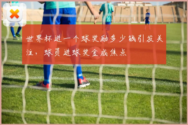 世界杯进一个球奖励多少钱引发关注,球员进球奖金成焦点
